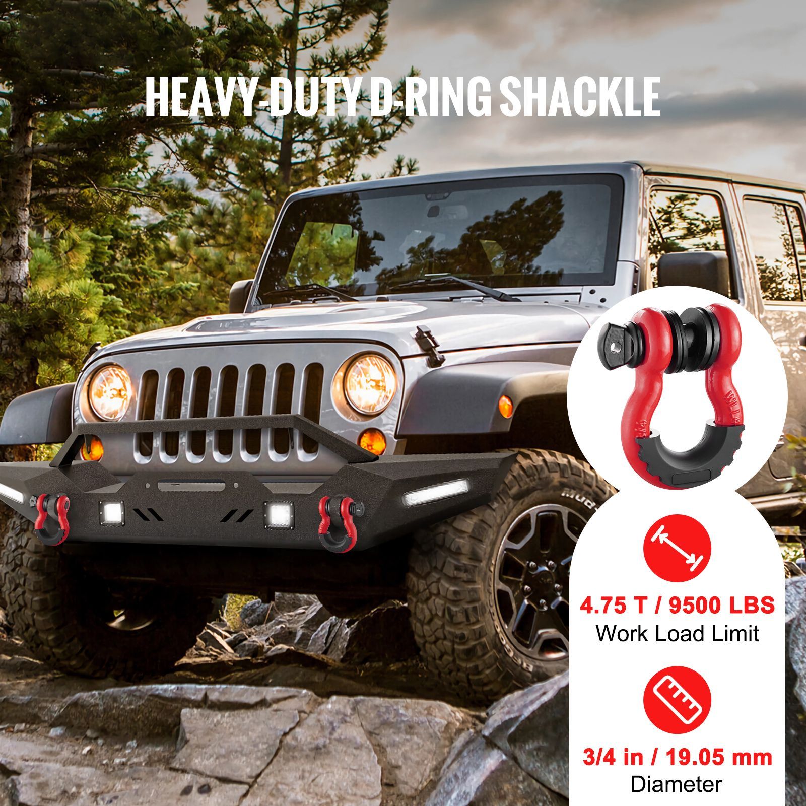 Shackle D-Ring 3/4