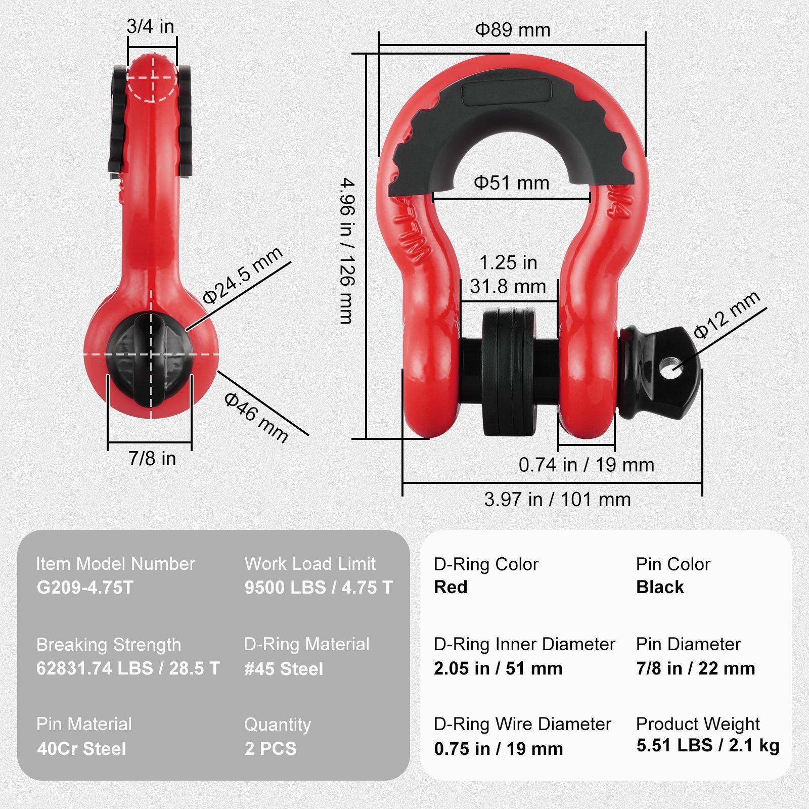 Shackle D-Ring 3/4